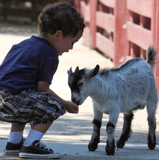 Zoo «Gulf Breeze Zoo», reviews and photos, 5701 Gulf Breeze Pkwy, Gulf Breeze, FL 32563, USA