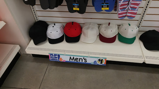 Dollar Store «Dollar Tree», reviews and photos, 843 Harley Strickland Blvd b, Orange City, FL 32763, USA