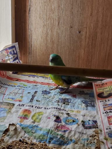 Pet Supply Store «PetSmart», reviews and photos, 573 N McKinley St, Corona, CA 92879, USA