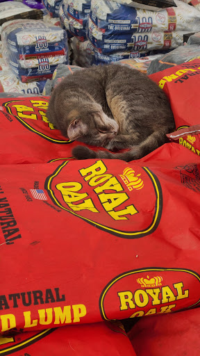 Home Improvement Store «The Home Depot», reviews and photos, 1740 Old Epps Bridge Rd, Athens, GA 30606, USA