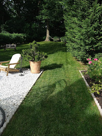 Landscaping and Lawn Care Services