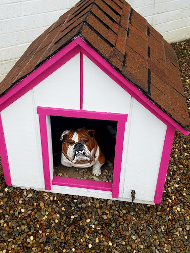 Animal Shelter «One of A Kind Pet Rescue», reviews and photos, 1929 W Market St, Akron, OH 44313, USA