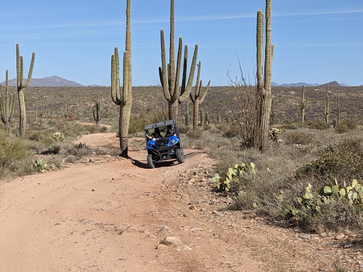 Tour Operator «Stellar Adventures», reviews and photos, 4026 E Broadway Rd, Phoenix, AZ 85040, USA