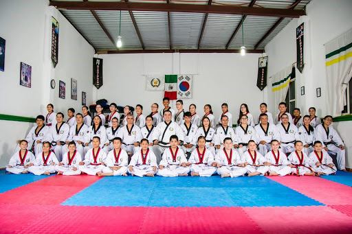 Escuela de taekwondo Torreón