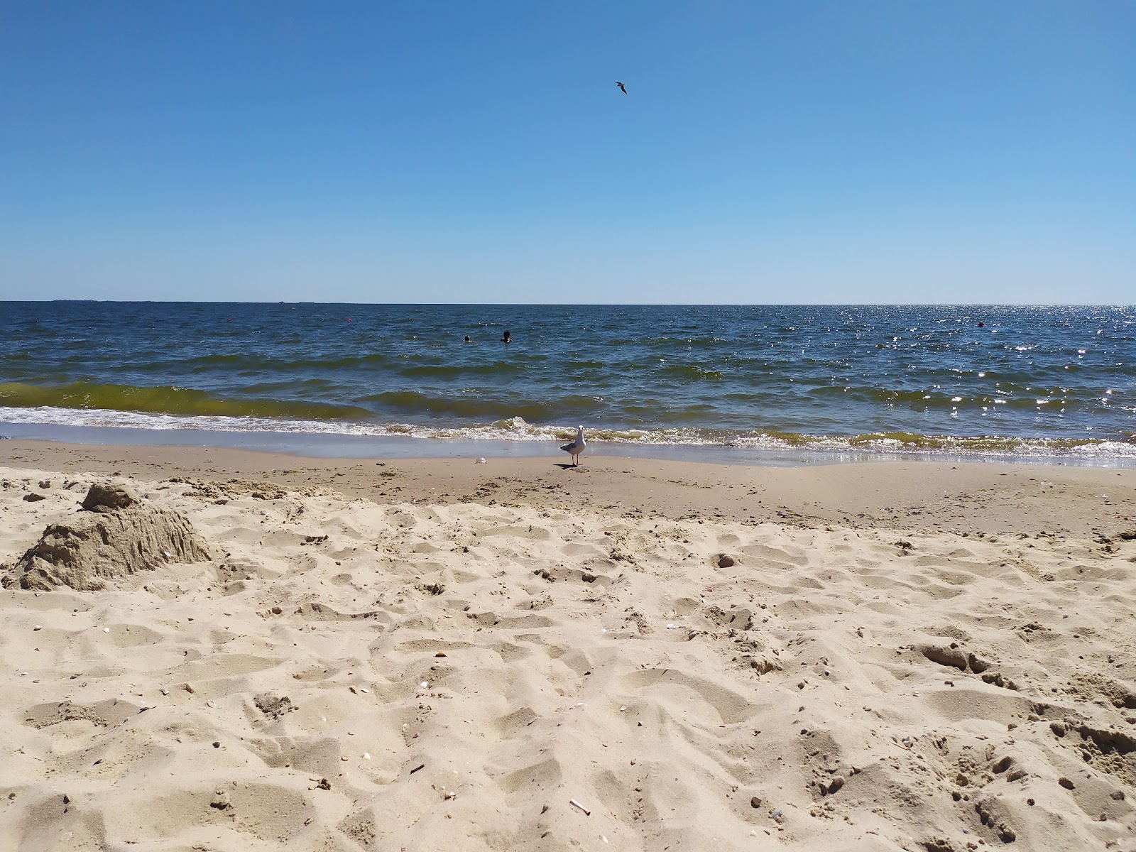 Foto von Chernomorskaya kosa mit lange, gerade küste