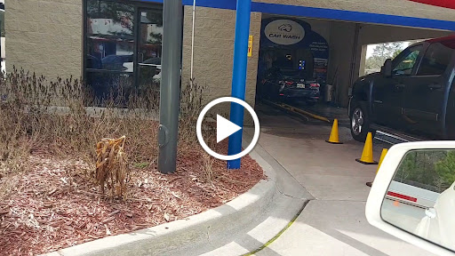 Whistle Express Car Wash en Crawfordville