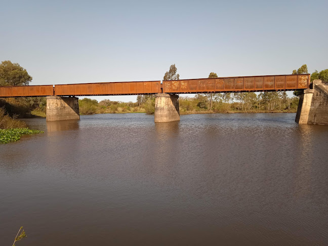 Puente Ferrioviario - Camping