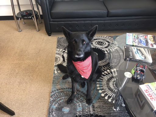 Used Car Dealer «Full Throttle Auto Sales», reviews and photos, 11105 Steele St S Ste 106, Tacoma, WA 98444, USA