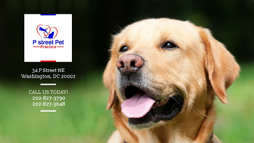 34 P St NE, Washington, DC 20002, USA