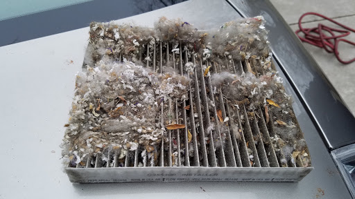 Auto Parts Store «AutoZone», reviews and photos, 6235 Belmont Rd, Downers Grove, IL 60515, USA