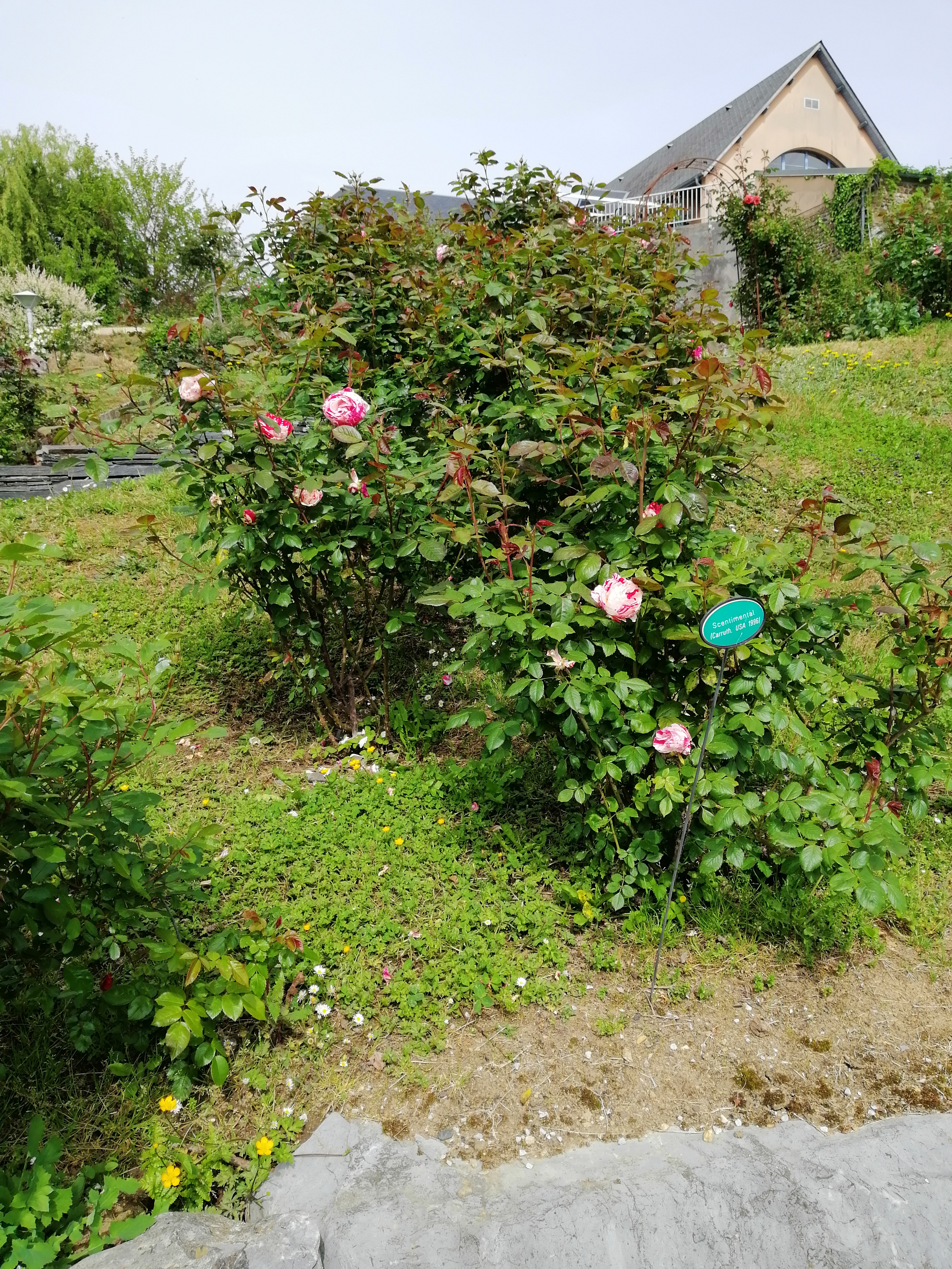 Photo n° 4 de l'avis de Isabel.r fait le 24/04/2019 à 16:53