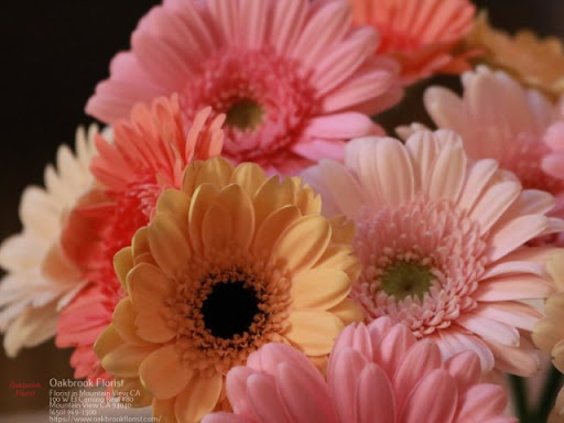 Florist «OAKBROOK FLORIST», reviews and photos, 100 W El Camino Real # 80, Mountain View, CA 94040, USA