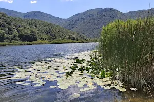 Ventina lake image