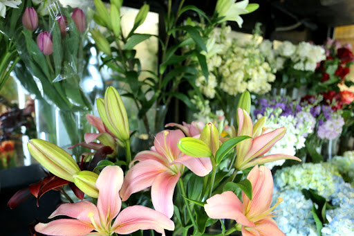 Florist «Four Seasons Floral», reviews and photos, 2087 Drew St, Clearwater, FL 33765, USA