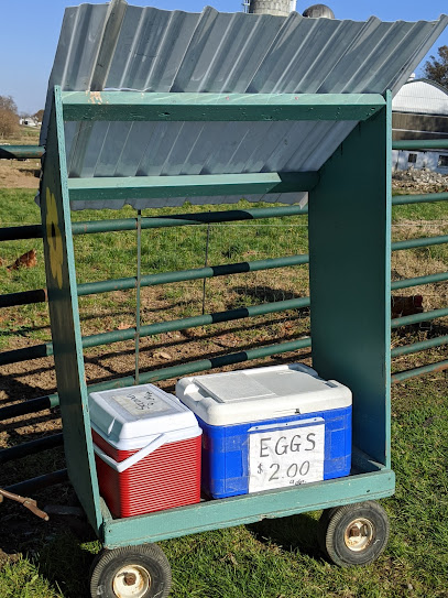 Fresh Brown Eggs For Sale