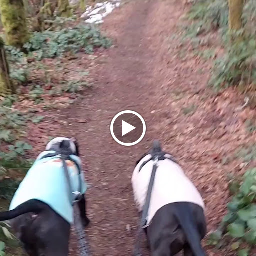 Nature Preserve «Illahee Preserve», reviews and photos, 3200 NE Riddell Rd, Bremerton, WA 98310, USA