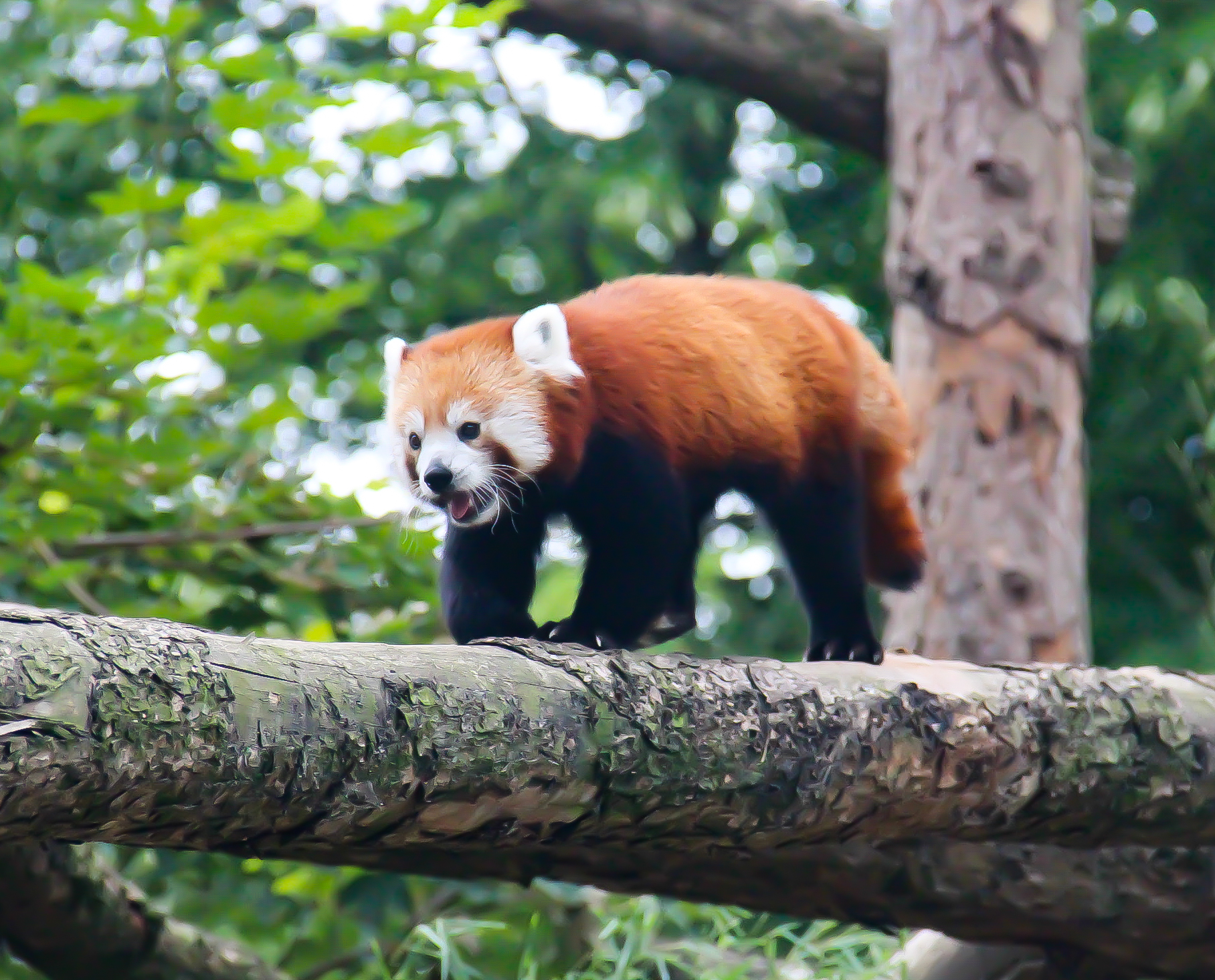 Photo n° 8 de l'avis de Cynthia.l fait le 21/07/2022 à 17:10
