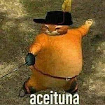 Photo n°1 de l'avis de Skrzydlaty.W fait le 15/05/2023 à 13:37 sur le  Design Club Collection à Bologna