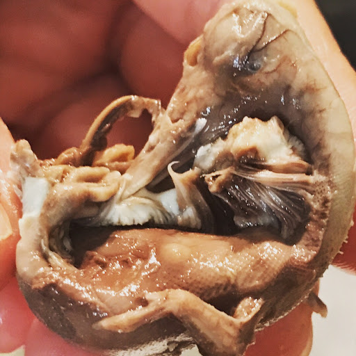 Asian Grocery Store «Brandon Oriental Market», reviews and photos, 112 Pauls Dr, Brandon, FL 33511, USA