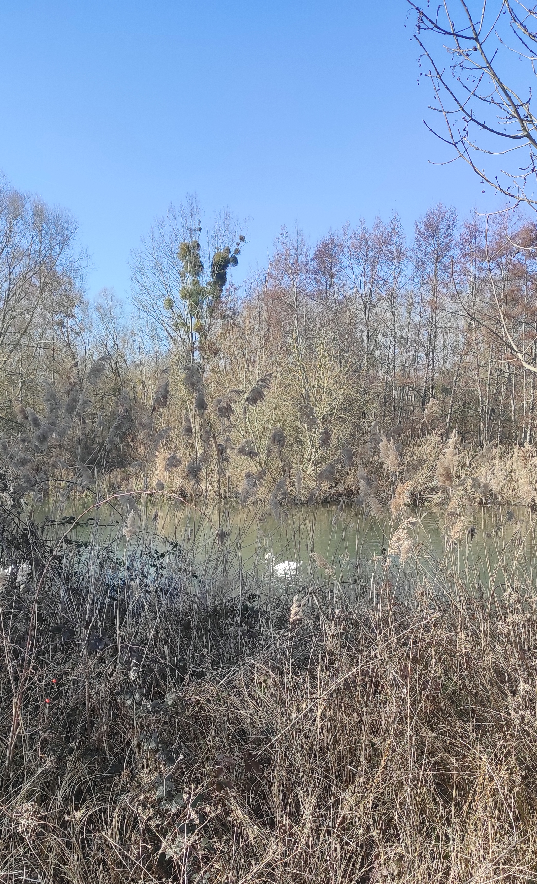Photo n° 3 de l'avis de Marc. fait le 13/02/2023 à 16:36