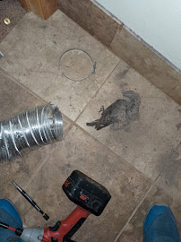 Wisconsin Natural Air Duct Cleaning Madison - Photo 9 - Car repair in Madison, WI, Madison