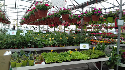 Sarl Jardin Des Terres Froides à Burcin