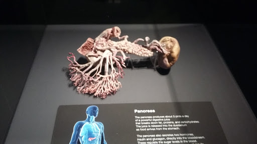 Imax Theater «Mcwane Center IMAX», reviews and photos, 205 19th St N, Birmingham, AL 35203, USA