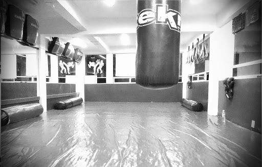 Kickboxing & MMA - Cuauhtemoc