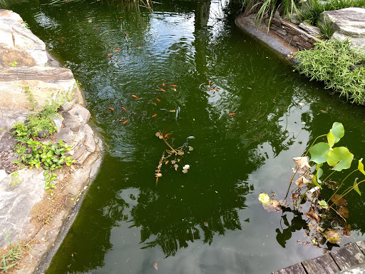 Landscaper «Garden Greenhouse & Nursery», reviews and photos, 1919 U.S. 9, Cape May Court House, NJ 08210, USA