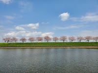 群馬の水郷 駐車場