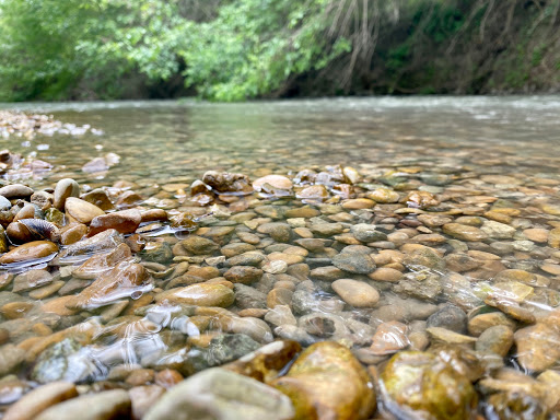 Park «Medina River Natural Area», reviews and photos, 15890 Highway 16 South, San Antonio, TX 78264, USA