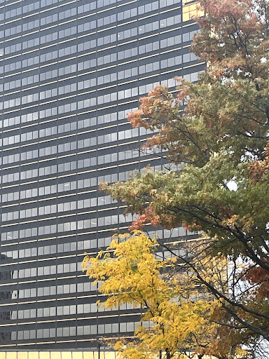 Divorce Lawyer «ADAM - American Divorce Association For Men», reviews and photos