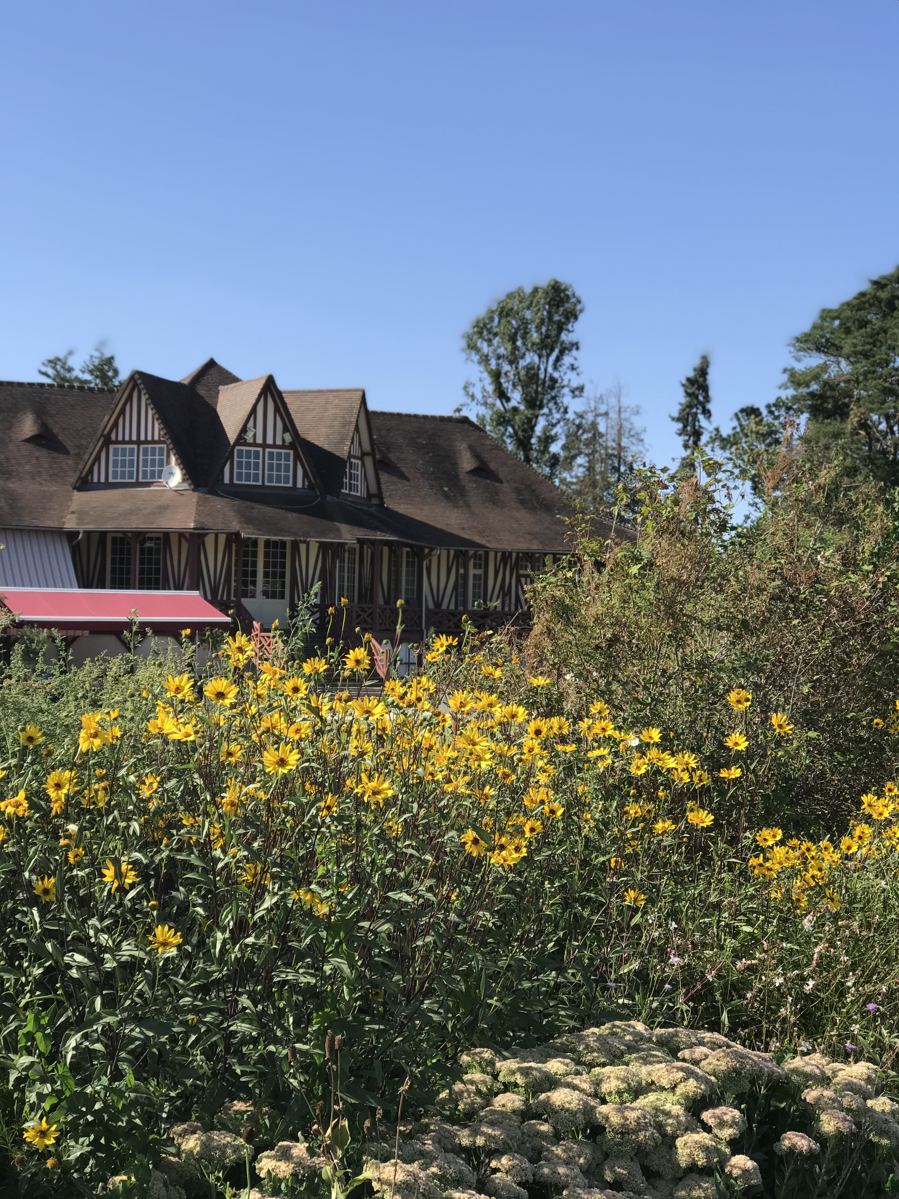 Photo n° 5 de l'avis de thierry.h fait le 01/08/2019 à 16:16