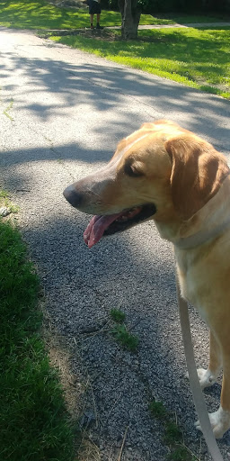 Park «Chicago Park District», reviews and photos, 5505 W Berteau Ave, Chicago, IL 60641, USA