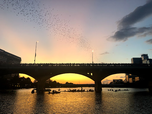 Congress Avenue Bridge