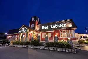 Red Lobster Enoshima image