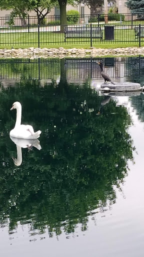 Coffee Shop «Starbucks», reviews and photos, 102 E Irving Park Rd, Itasca, IL 60143, USA