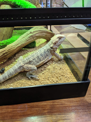 Pet Supply Store «Brookdale Pet Center», reviews and photos, 1054 Broad St, Bloomfield, NJ 07003, USA