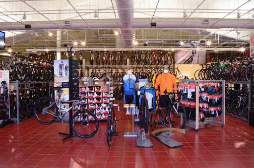 Sporting Goods Store «Motion Makers Bicycle Shop», reviews and photos, 878 Brevard Rd, Asheville, NC 28806, USA
