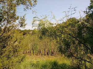 Spring Lake Natural Area - photo 25