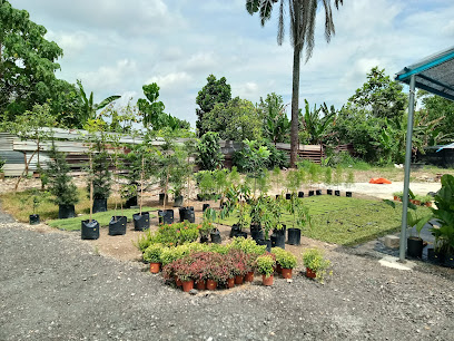 Elmina Nursery & Gardening