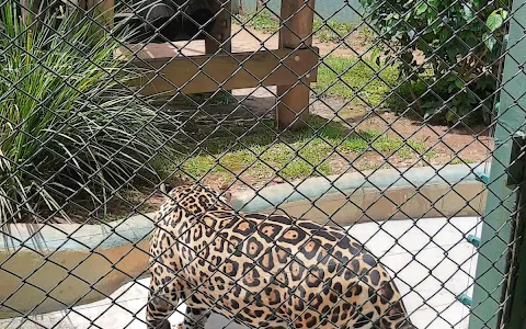 Zoológico Municipal de Guarulhos image