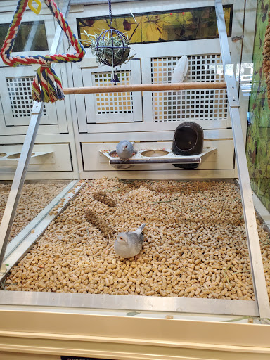 Pet Supply Store «PetSmart», reviews and photos, 1115 Vidina Pl, Oviedo, FL 32765, USA