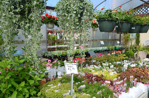 Garden Center «Schott Gardens», reviews and photos, 2209 Nashville Rd, Bowling Green, KY 42101, USA