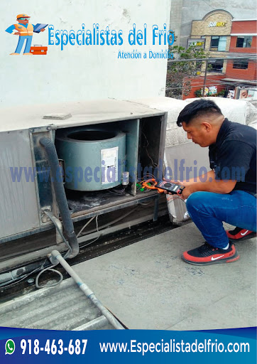 Técnicos de Refrigeradores