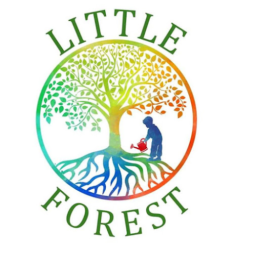 Comentarios y opiniones de Little Forest - Jardín Infantil y Sala Cuna