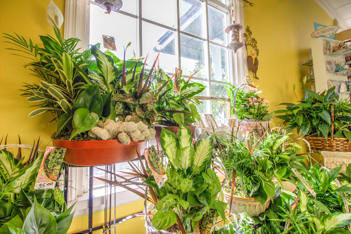 Florist «Oviedo Florist», reviews and photos, 1419 W Broadway St, Oviedo, FL 32765, USA