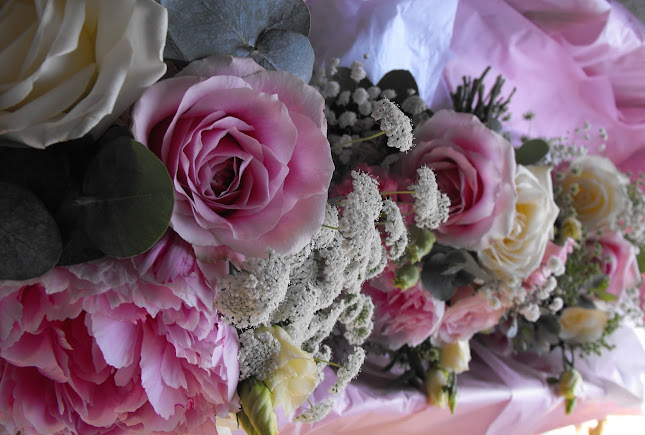 Reviews of Peony Floral Design in Norwich - Florist