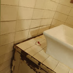 Photo n°3 de l'avis de luli.n fait le 25/02/2024 à 14:51 sur le  Snack Bar-il Bistrot à Rome