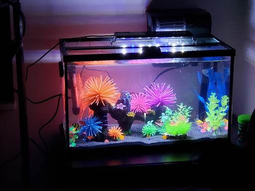 Pet Supply Store «Petco Animal Supplies», reviews and photos, 29560 W Seven Mile Rd, Livonia, MI 48152, USA